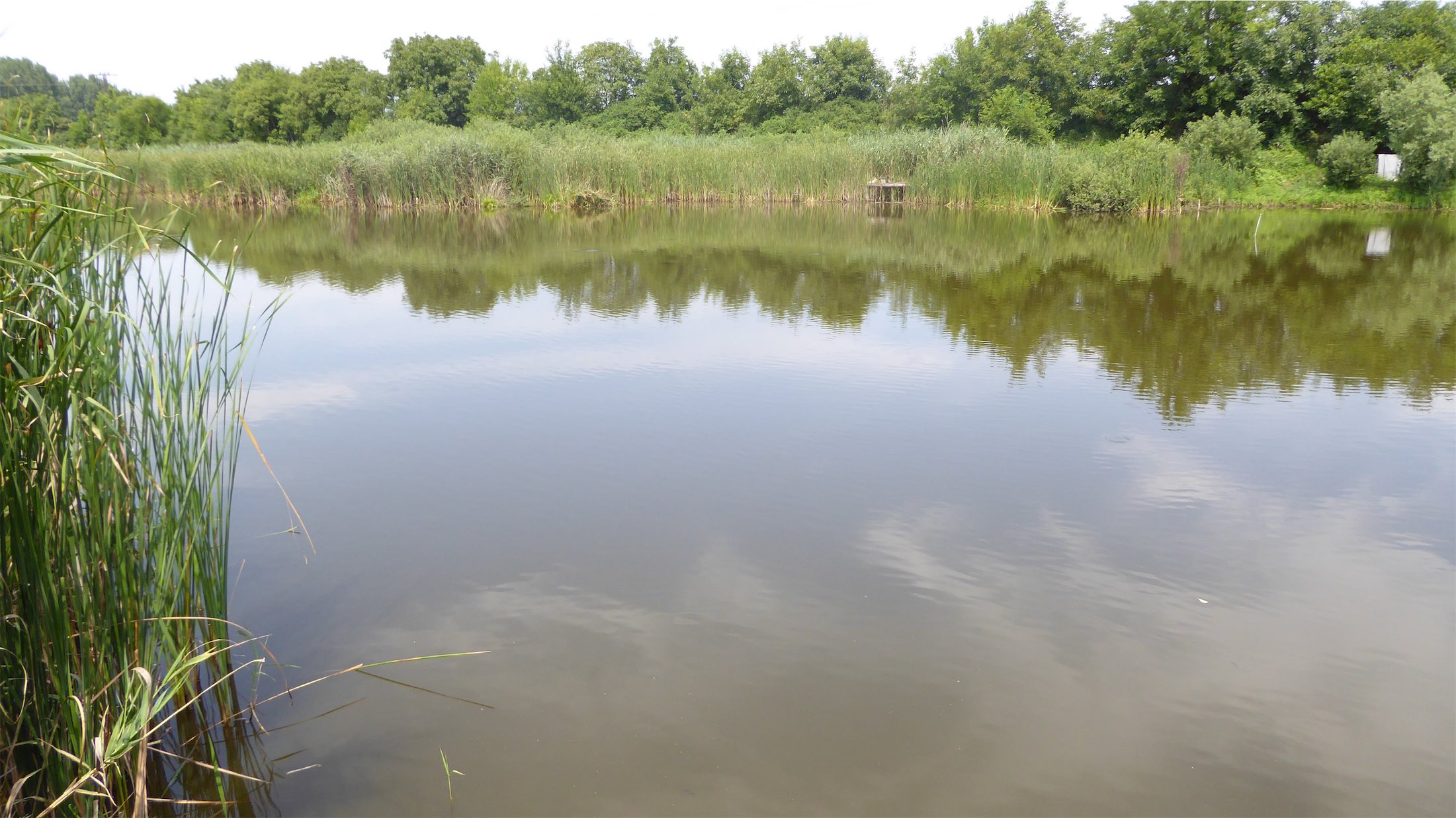 The Holt Szamos lake